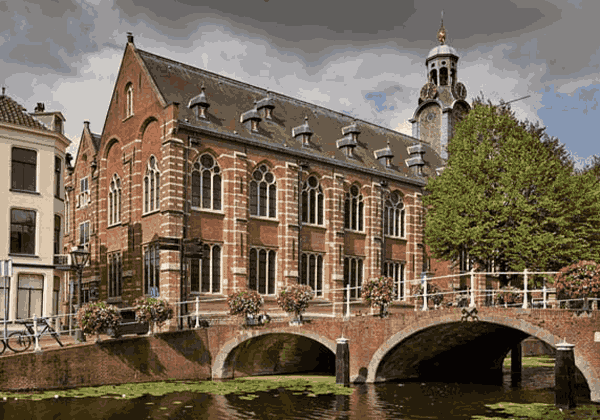 University of Montreal